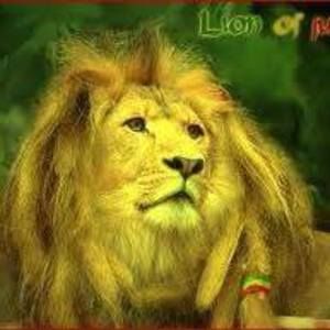 Meet your Posher, Jose